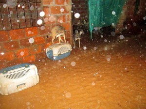 Esta es la situación, cada vez que llueve, en la Fundación Gatera Doña Felisa. - Suministrada /GENTE DE CABECERA