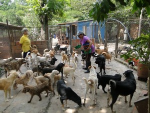 Los estudiantes esperan la participación de la comunidad de Bucaramanga y el área metropolitana.  - Archivo/GENTE DE CAÑAVERAL 