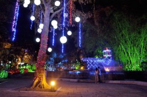 Muchas zonas verdes del parque fueron iluminadas para darle así sentido a la historia de la hada Cristal.