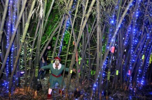 Uno de los duendes que sale en una parte del recorrido por el ‘Bosque encantado’. - Fotos Didier Niño / GENTE DE CABECERA