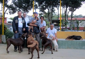 Estas son algunas de las mascotas queridas por los residentes de Pan de Azúcar y barrios aledaños. - Suministrada / GENTE DE CABECERA