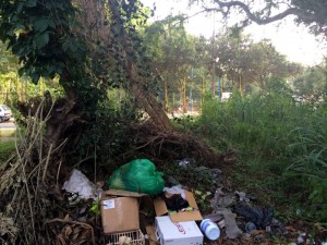 Este es el lote de Pan de Azúcar a donde se están arrojando basuras y material reciclable. - Suministrada /GENTE DE CABECERA