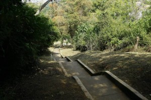 El sendero fue arreglado a finales de diciembre de 2014 y es el que parte de la carrera 48 hacia altos de Terrazas. - César Flórez / GENTE DE CABECERA