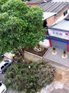 En la calle quedaron por un buen tiempo las ramas de los árboles que alcanzaron a podar. - Suministrada / GENTE DE CABECERA