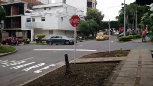 “Aunque el árbol no era muy grande y frondoso, sí le aportaba al paisaje urbano del sector”, expresó un habitante de la zona. - Suministrada / GENTE DE CABECERA