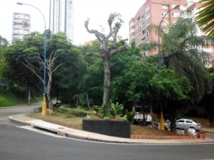 El parquecito está ubicado en límites entre el parque de Los Leones y el barrio Las Américas. - Suministrada / GENTE DE CABECERA