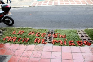 Todos los días varían los mensajes positivos y optimistas. Esta fue su frase del día: “La acción mata al miedo”.