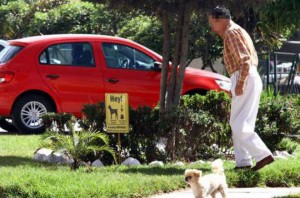 Recuerde educar a su mascota y ser un amo responsable. Su perro no puede extralimitar el área de su casa.