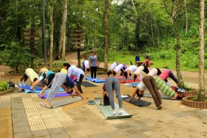 Aquí, los participantes realizando la postura del perro, bajo la dirección de la maestra en yoga Nitya Siddha Devi Dasi