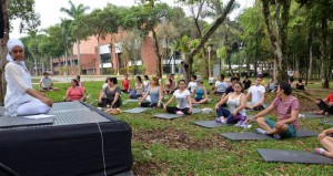 Habrá actividades de yoga, taichí, aeróbicos y presentaciones artísticas. - Suministrada / GENTE DE CABECERA