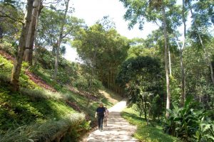 Puentes y senderos peatonales componen los 1.700 metros que los caminantes pueden recorrer mientras admiran la gran cantidad de especies de aves y plantas. - Jaime del Río/GENTE DE CABECERA