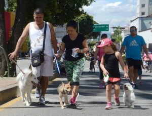 En ‘Peluditos al parque’ habrá concurso fotográfico y de disfraces. - Archivo/GENTE DE CABECERA