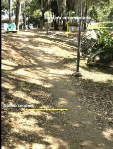 El descuido o la pereza de los transeúntes, que no hacen uso debido de los senderos construidos, está generando daños en el parque San Pío, según denuncia el periodista del barrio. - Suministrada/GENTE DE CABECERA