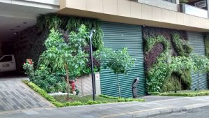 Este conjunto residencial, ubicado en la calle 51 con carrera 39, también da el buen ejemplo con su jardín vertical. - Suministrada/GENTE DE CABECERA