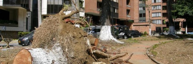 ¿Y quién vela por el parque Solón?