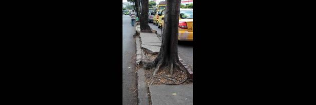 Separadores siguen abandonados