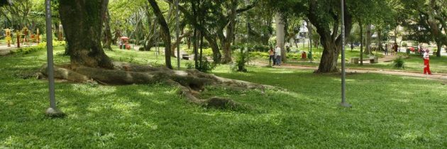 Así es la gran riqueza natural de Cabecera