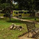 El parque Turbay luce más verde