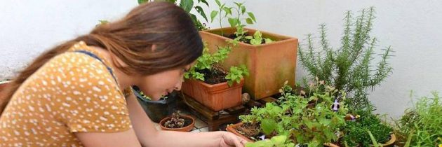 “Cultivando Vida”, el arte de la agricultura urbana