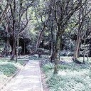 Parque La Flora preocupa a sus caminantes