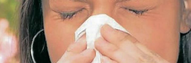 Alergias: Lo que  debemos saber